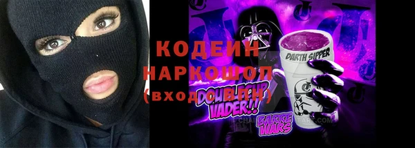 индика Наволоки