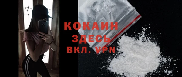 индика Наволоки