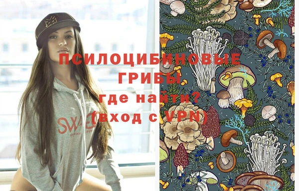 индика Наволоки