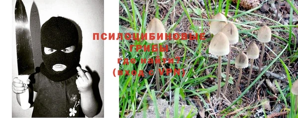 гидра Навашино