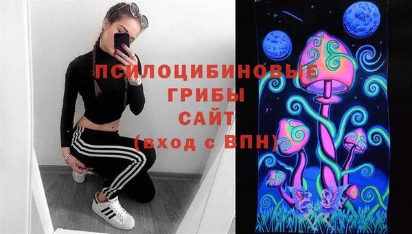 индика Наволоки