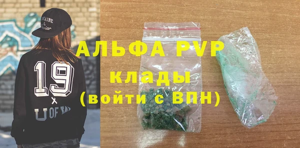 ПСИЛОЦИБИНОВЫЕ ГРИБЫ Михайлов