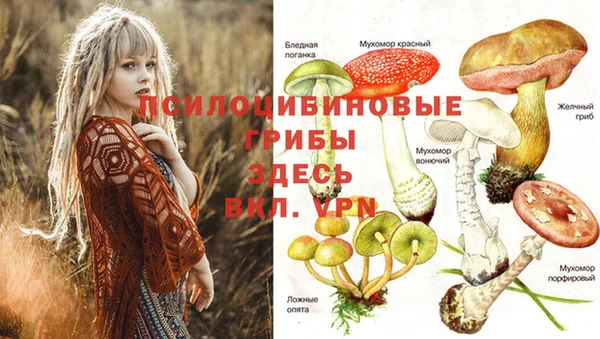 каннабис Надым