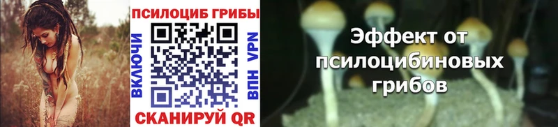 Псилоцибиновые грибы Psilocybe Любань